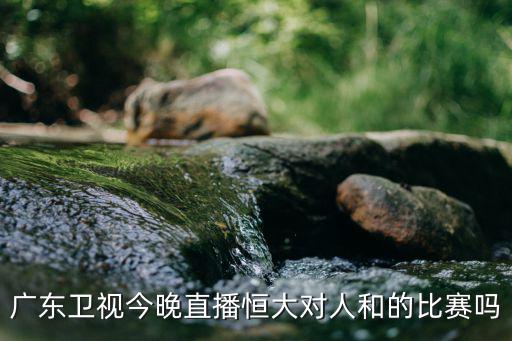 廣東衛視今晚直播恒大對人和的比賽嗎