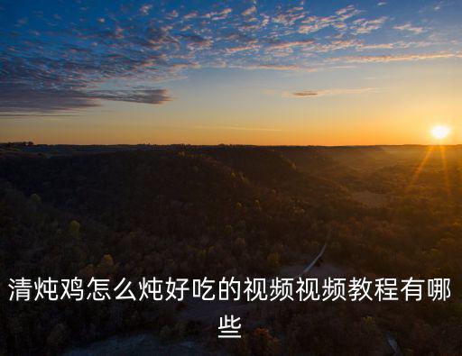 清燉雞怎么燉好吃的視頻視頻教程有哪些