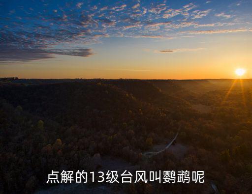 點(diǎn)解的13級(jí)臺(tái)風(fēng)叫鸚鵡呢