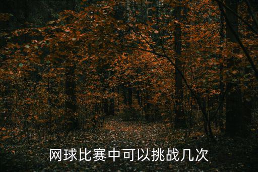 網球挑戰賽，網球比賽中可以挑戰幾次