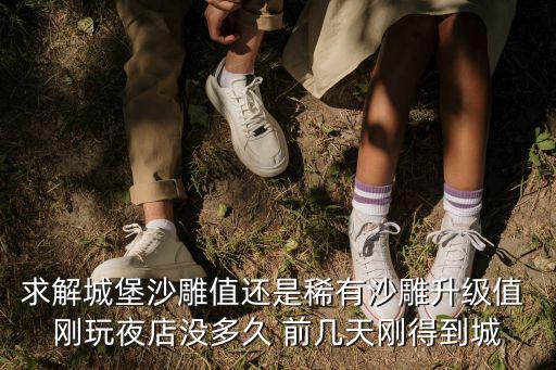沙雕城堡，求解城堡沙雕值還是稀有沙雕升級值 剛玩夜店沒多久 前幾天剛得到城