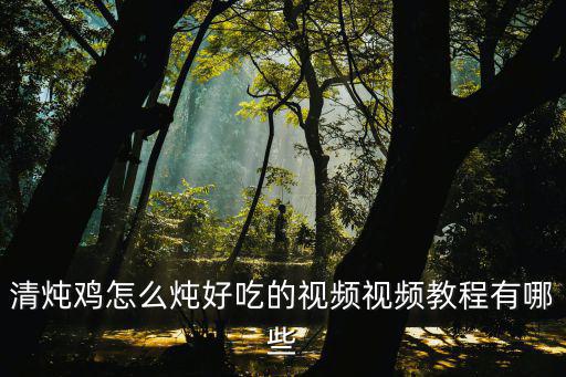 雞視頻，5233功能