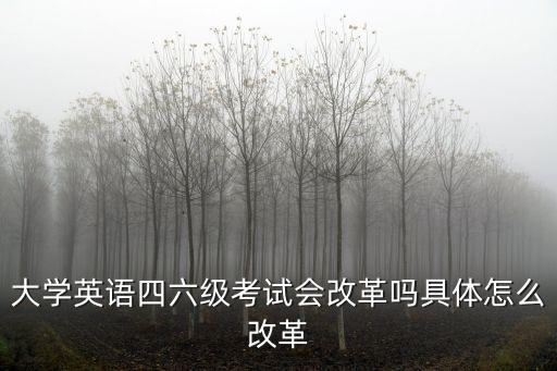 大學(xué)英語(yǔ)四六級(jí)考試會(huì)改革嗎具體怎么改革