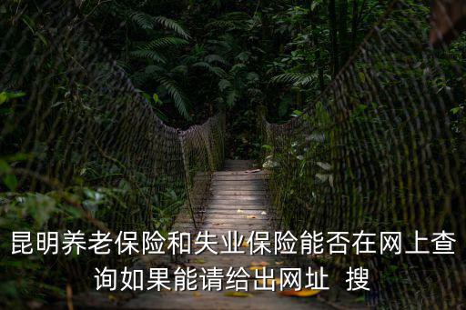 昆明養老保險和失業保險能否在網上查詢如果能請給出網址  搜