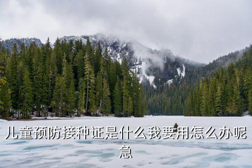兒童預防接種證是什么我要用怎么辦呢急
