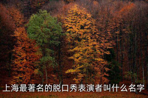 脫口秀演員有哪些，上海最著名的脫口秀表演者叫什么名字