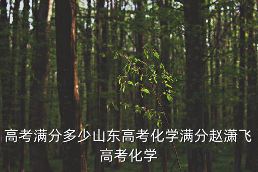 山東高考化學，高考滿分多少山東高考化學滿分趙瀟飛高考化學