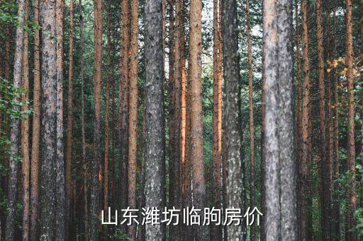 臨朐房產，山東濰坊臨朐房價