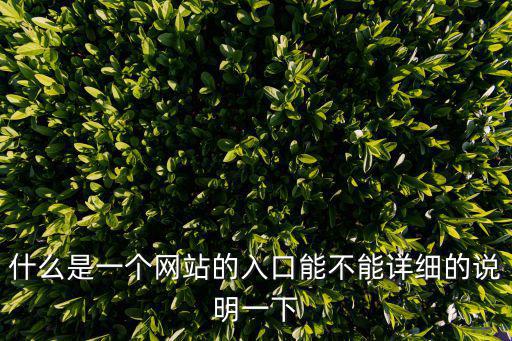 網(wǎng)站入口，網(wǎng)站www