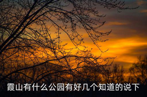 霞山有什么公園有好幾個知道的說下