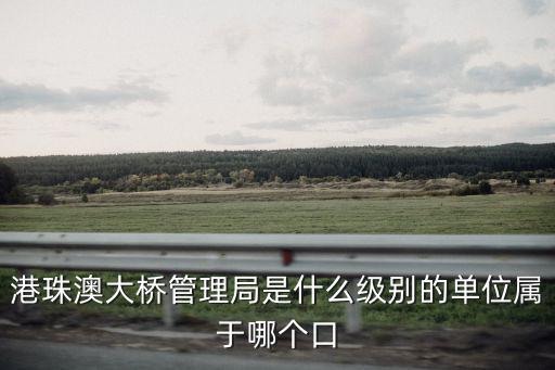 港珠澳大橋管理局是什么級別的單位屬于哪個口