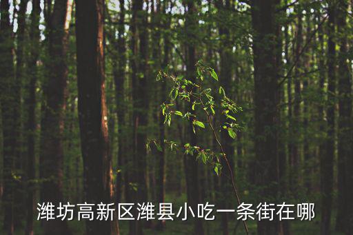 老濰縣美食街，濰坊的美食街在哪
