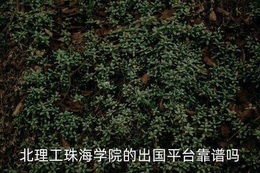 北理工珠海學院的出國平臺靠譜嗎
