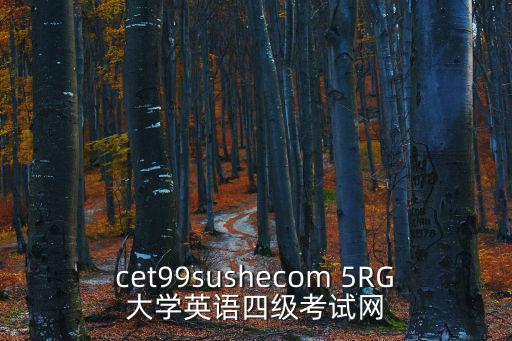 英語四級網站，cet99sushecom 5RG大學英語四級考試網