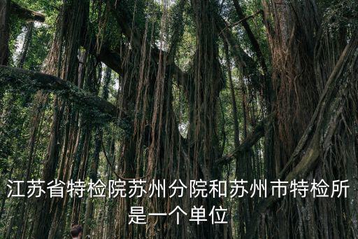 江蘇省特檢院蘇州分院和蘇州市特檢所是一個(gè)單位