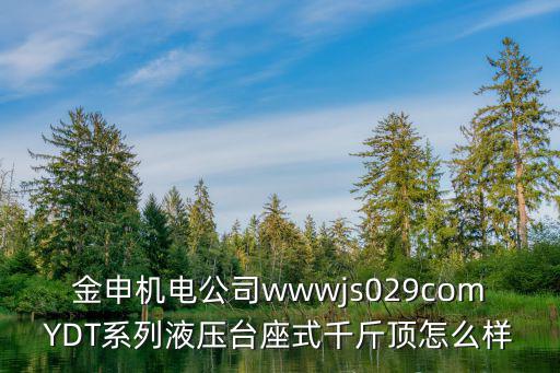 金申，金申老師的作品高山流水心即是佛老子出關去哪里買靠譜