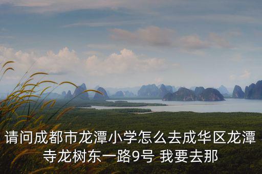 請問成都市龍潭小學怎么去成華區龍潭寺龍樹東一路9號 我要去那