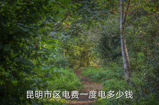 昆明市區電費一度電多少錢
