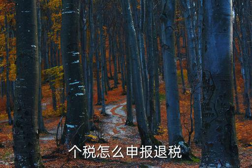 個稅怎么申報退稅
