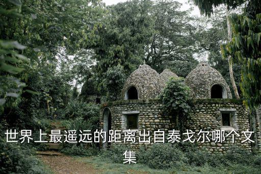 世界上最遙遠的距離出自泰戈爾哪個文集