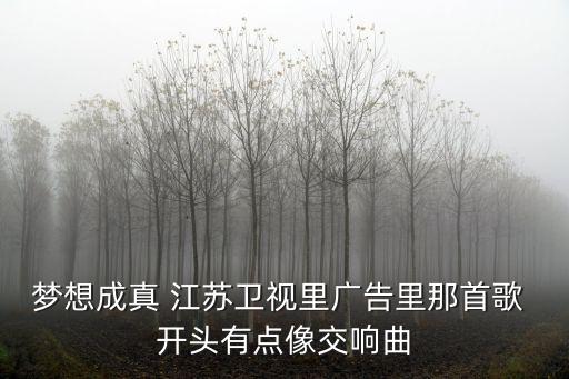 江蘇衛(wèi)視夢(mèng)想成真，3月19日晚江蘇衛(wèi)視尋找陳奶奶過(guò)程中的背景音樂(lè)叫啥是