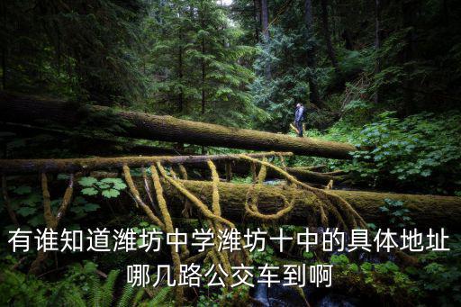 有誰知道濰坊中學濰坊十中的具體地址哪幾路公交車到啊