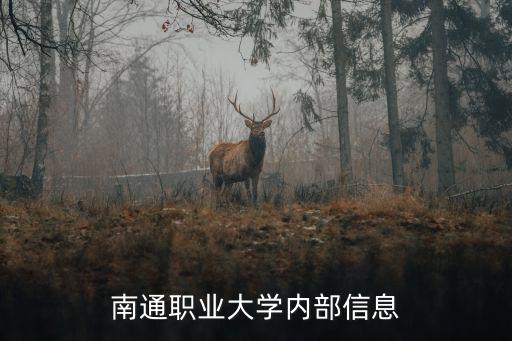 南通職大，南通職業大學