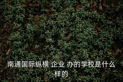 南通國際縱橫 企業 辦的學校是什么樣的