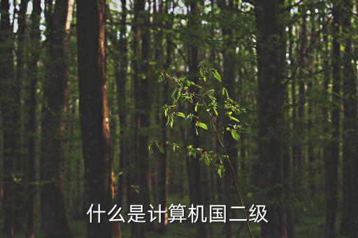 全國計算機等級考試二級，什么是計算機國二級