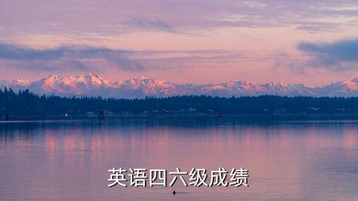 英語四六級成績