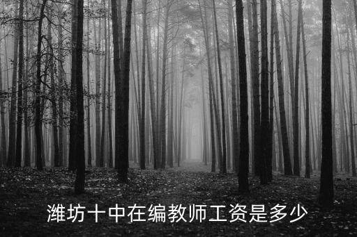 濰坊十中在編教師工資是多少