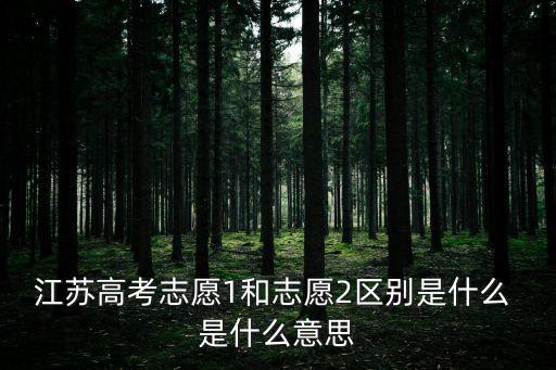 江蘇志愿，江蘇大學生志愿服務蘇北計劃江蘇籍省外高校畢業生可以報嗎
