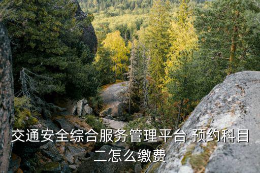 交通安全綜合服務(wù)管理平臺 預(yù)約科目二怎么繳費