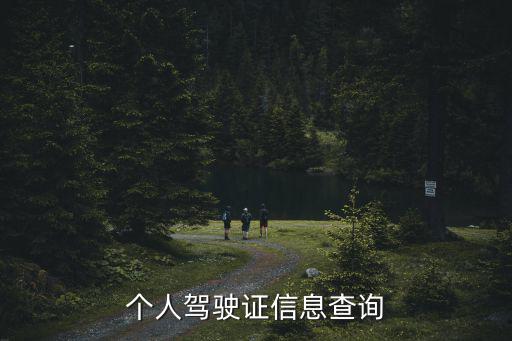 個人駕駛證信息查詢