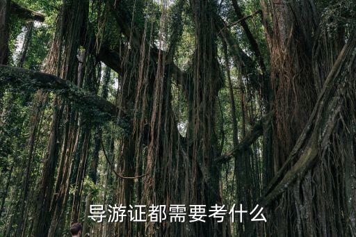 導游證都需要考什么