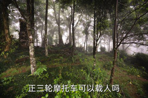 三輪載客摩托車，正三輪載客摩托車什么價(jià)格