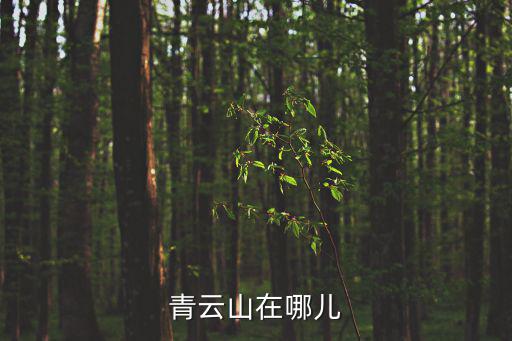 青云山在哪兒