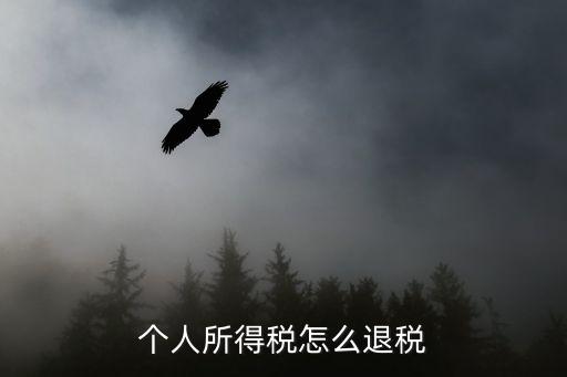 個人所得稅怎么退稅