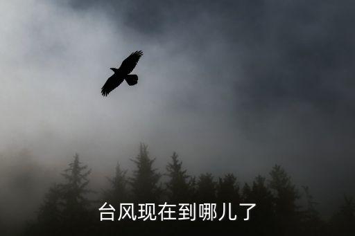 臺(tái)風(fēng)現(xiàn)在到哪兒了