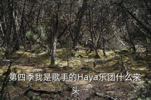 haya樂團，第四季我是歌手的Haya樂團什么來頭