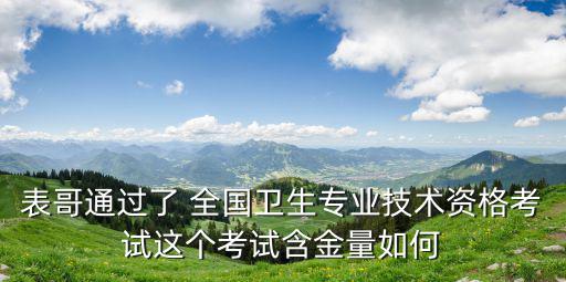 衛(wèi)生專(zhuān)業(yè)技術(shù)資格考試，衛(wèi)生專(zhuān)業(yè)技術(shù)資格考試