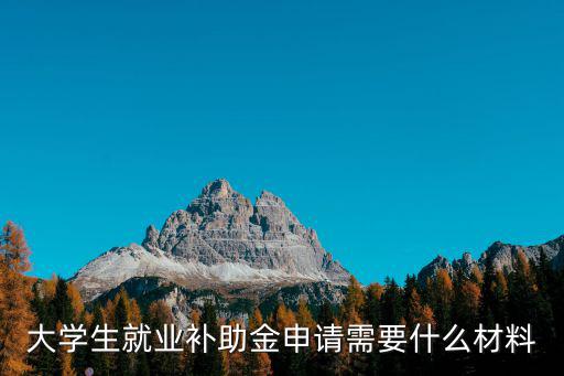大學(xué)生畢業(yè)補(bǔ)貼，大學(xué)生就業(yè)補(bǔ)助金申請(qǐng)需要什么材料