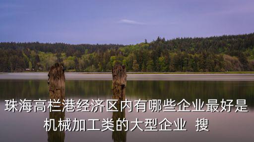 珠海高欄港經(jīng)濟(jì)區(qū)內(nèi)有哪些企業(yè)最好是機(jī)械加工類的大型企業(yè)  搜