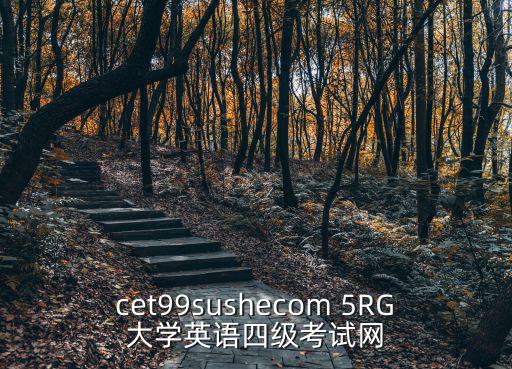 cet99sushecom 5RG大學英語四級考試網