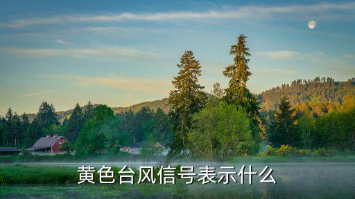 黃色臺風(fēng)信號表示什么