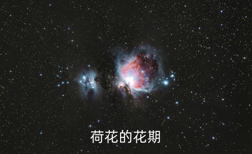 荷花花期，荷花的花期最早是什么時(shí)候