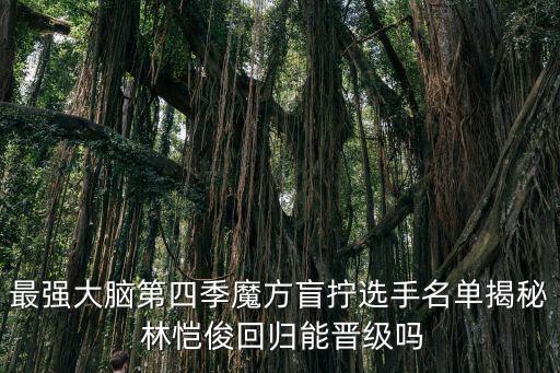林愷俊，林愷俊出生日期