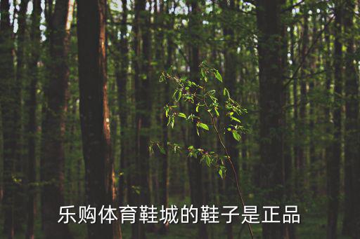 樂購體育鞋城的鞋子是正品