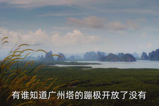 有誰(shuí)知道廣州塔的蹦極開(kāi)放了沒(méi)有
