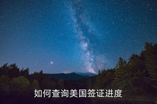 美國簽證查詢，美國簽證 check